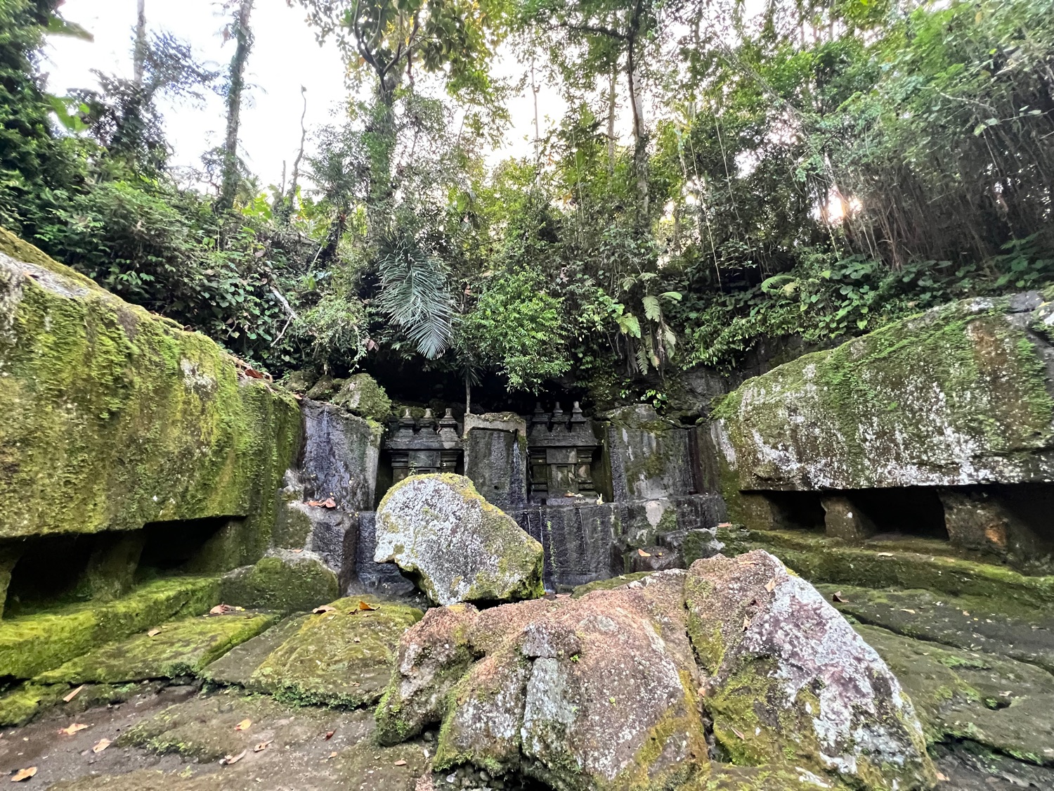 What's Built to Last Isn't Afraid of Moss