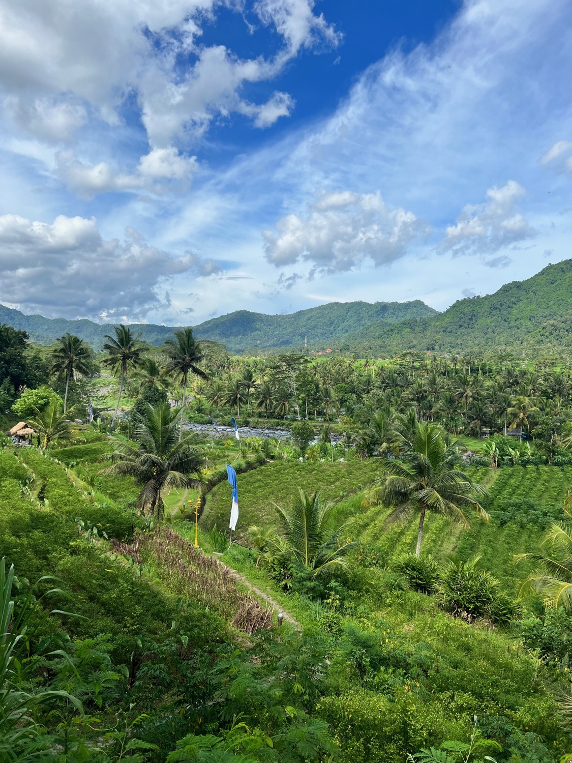Nothing gets rushed on rice terraces — and everything grows